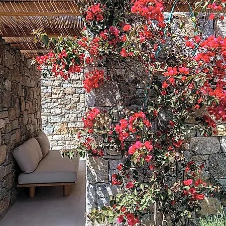 Hotel Mykonos Drops Platys Gialos (Mykonos)